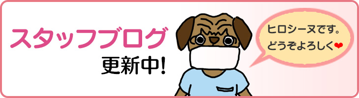 スタッフブログ　更新中！